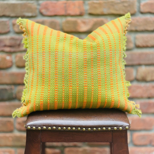Apple Cider Pillows image 0